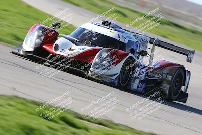 media/Feb-23-2024-CalClub SCCA (Fri) [[1aaeb95b36]]/Group 5/Qualifying (Star Mazda)/